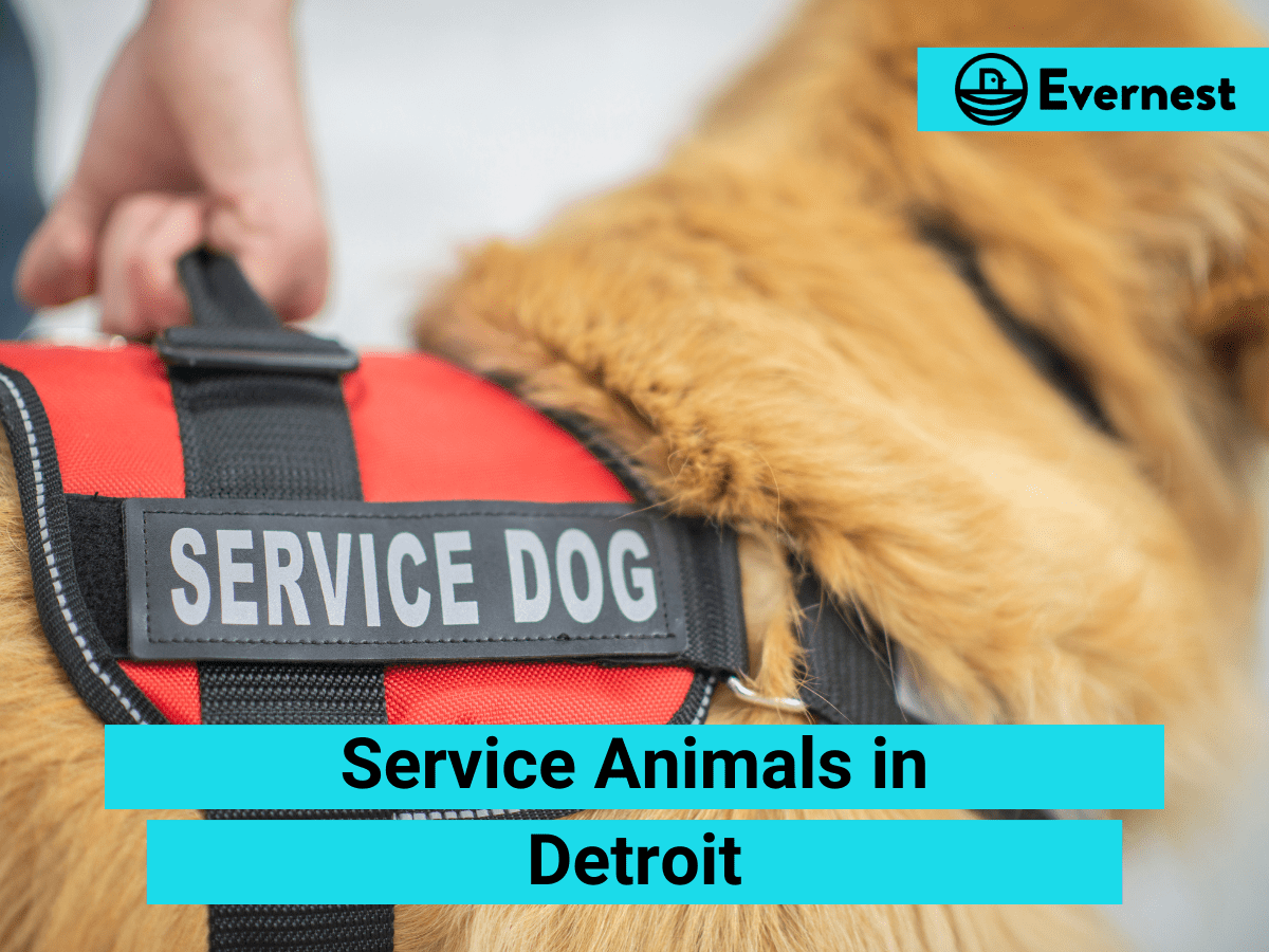 Service Animals: Everything Landlords Need to Know in Detroit, Michigan